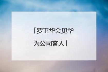 罗卫华会见华为公司客人
