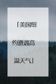 美国纽约遭遇高温天气