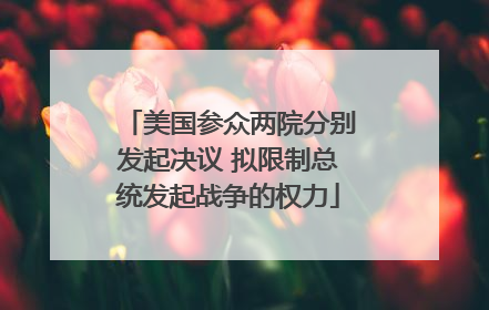 美国参众两院分别发起决议 拟限制总统发起战争的权力
