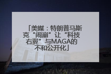 美媒：特朗普马斯克“闹崩”让“科技右翼”与MAGA的不和公开化