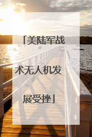 美陆军战术无人机发展受挫