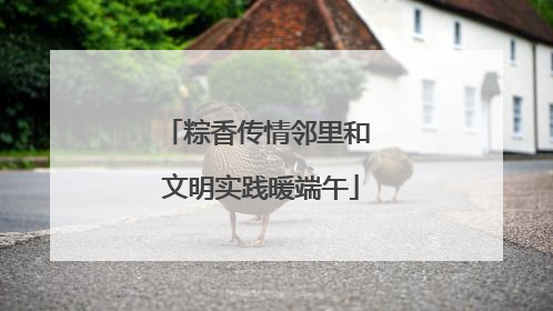 粽香传情邻里和 文明实践暖端午