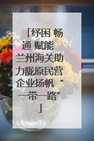纾困 畅通 赋能 兰州海关助力陇原民营企业扬帆“一带一路”