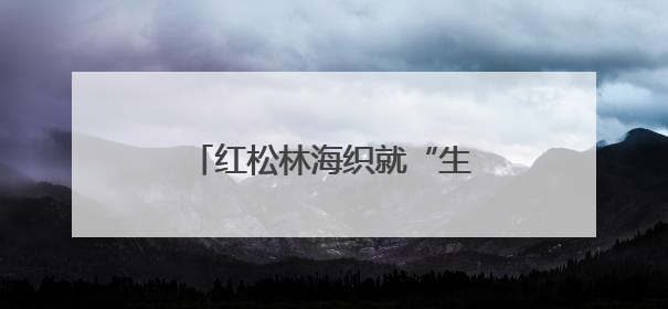 红松林海织就“生态+”富民画卷