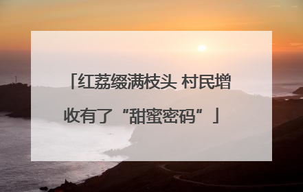 红荔缀满枝头 村民增收有了“甜蜜密码”