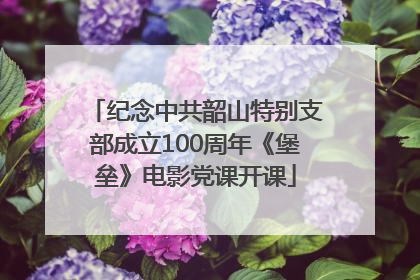 纪念中共韶山特别支部成立100周年《堡垒》电影党课开课
