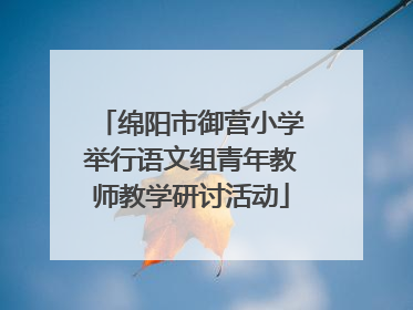 绵阳市御营小学举行语文组青年教师教学研讨活动