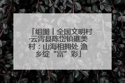 组图丨全国文明村·云霄县陈岱镇礁美村：山海相拥处 渔乡绽“富”彩