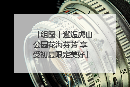 组图丨邂逅虎山公园花海芬芳 享受初夏限定美好