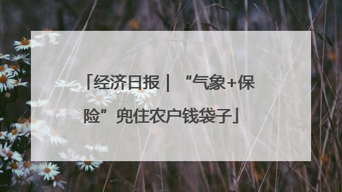 经济日报｜“气象+保险”兜住农户钱袋子