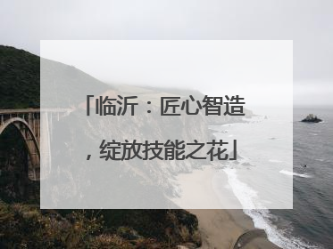 临沂：匠心智造，绽放技能之花