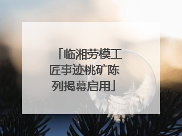 临湘劳模工匠事迹桃矿陈列揭幕启用