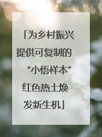 为乡村振兴提供可复制的“小悟样本” 红色热土焕发新生机