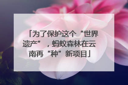 为了保护这个“世界遗产”，蚂蚁森林在云南再“种”新项目