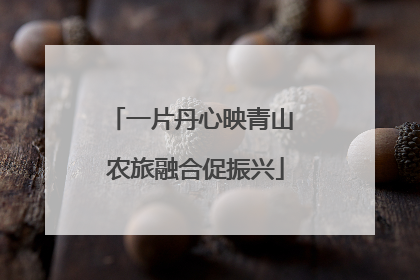 一片丹心映青山 农旅融合促振兴