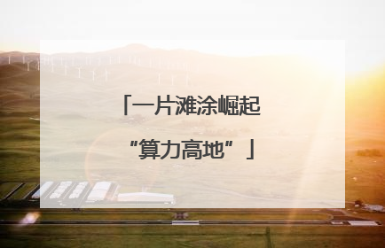 一片滩涂崛起“算力高地”