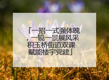 一招一式强体魄，一镜一景展风采 积玉桥街道双课赋能楼宇党建