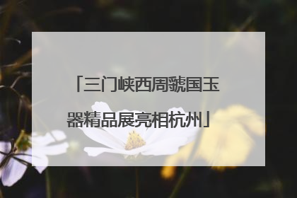 三门峡西周虢国玉器精品展亮相杭州