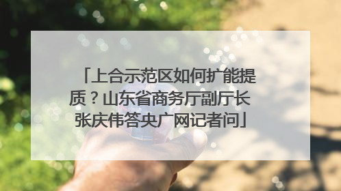 上合示范区如何扩能提质？山东省商务厅副厅长张庆伟答央广网记者问