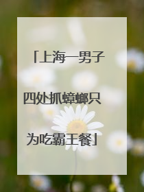 上海一男子四处抓蟑螂只为吃霸王餐
