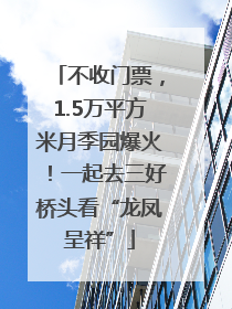 不收门票，1.5万平方米月季园爆火！一起去三好桥头看“龙凤呈祥”