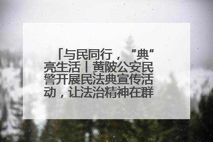 与民同行，“典”亮生活丨黄陂公安民警开展民法典宣传活动，让法治精神在群众心中落地生根