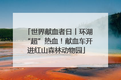 世界献血者日丨环湖“超”热血！献血车开进红山森林动物园