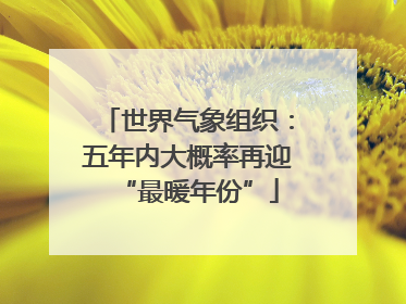 世界气象组织：五年内大概率再迎“最暖年份”