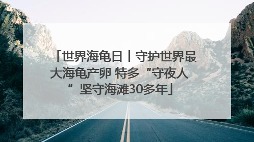 世界海龟日丨守护世界最大海龟产卵 特多“守夜人”坚守海滩30多年
