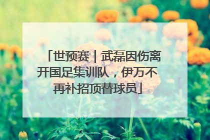世预赛｜武磊因伤离开国足集训队，伊万不再补招顶替球员