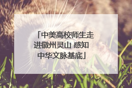 中美高校师生走进徽州灵山 感知中华文脉基底