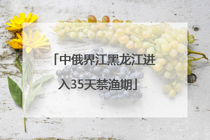 中俄界江黑龙江进入35天禁渔期