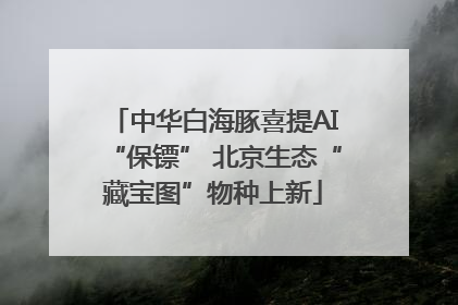 中华白海豚喜提AI“保镖” 北京生态“藏宝图”物种上新