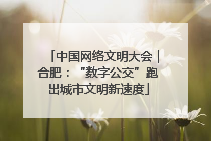 中国网络文明大会｜合肥：“数字公交”跑出城市文明新速度