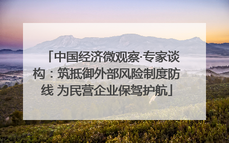 中国经济微观察·专家谈构：筑抵御外部风险制度防线 为民营企业保驾护航