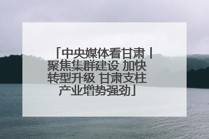 中央媒体看甘肃丨聚焦集群建设 加快转型升级 甘肃支柱产业增势强劲