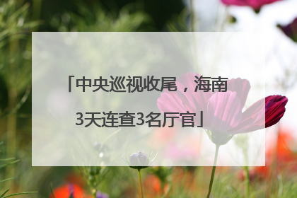 中央巡视收尾，海南3天连查3名厅官