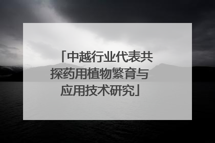 中越行业代表共探药用植物繁育与应用技术研究