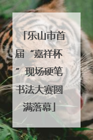 乐山市首届“嘉祥杯”现场硬笔书法大赛圆满落幕