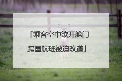 乘客空中欲开舱门 跨国航班被迫改道