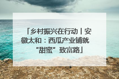 乡村振兴在行动丨安徽太和：西瓜产业铺就“甜蜜”致富路