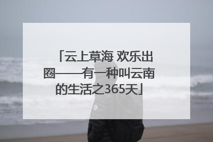 云上草海 欢乐出圈——有一种叫云南的生活之365天