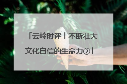 云岭时评丨不断壮大文化自信的生命力②