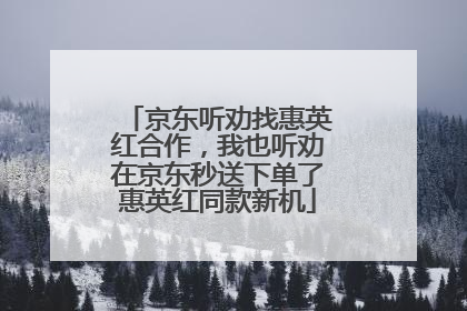 京东听劝找惠英红合作，我也听劝在京东秒送下单了惠英红同款新机