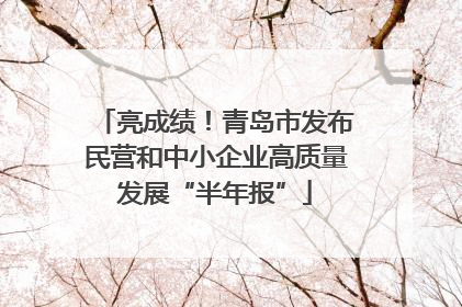 亮成绩！青岛市发布民营和中小企业高质量发展“半年报”