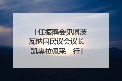 任振鹤会见博茨瓦纳国民议会议长凯奥拉佩采一行
