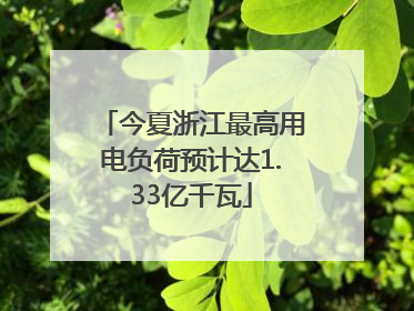 今夏浙江最高用电负荷预计达1.33亿千瓦