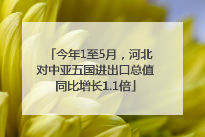 今年1至5月，河北对中亚五国进出口总值同比增长1.1倍