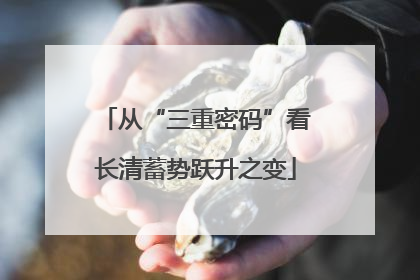 从“三重密码”看长清蓄势跃升之变