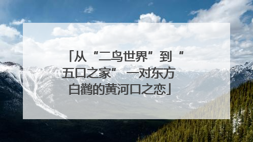 从“二鸟世界”到“五口之家” 一对东方白鹳的黄河口之恋